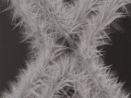  takis basil 3d design